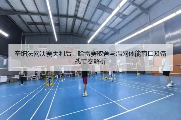 xin-na-fa-wang-jue-sai-shi-li-hou-ha-lei-sai-qu-she-yu-wen-wang-ti-neng-chuang-kou-ji-bei-zhan-jie-zou-jie-xi-2-442.jpg